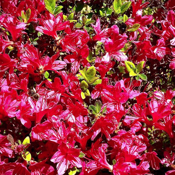 Worksforinstagramindex Of Way We Were Myself 18 Worksforinstagramindex Of Way We Were Myself 18